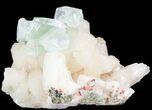 Zoned Apophyllite Crystals on Stilbite - India #44350-1